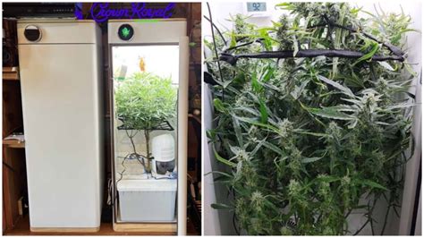 Hey abby grow box. Things To Know About Hey abby grow box. 